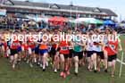 Senior Boys 2024 English Schools Cross Country Champs., Pontefract, March 16th.  Photo: David T. Hewitson/Sports for All Pics